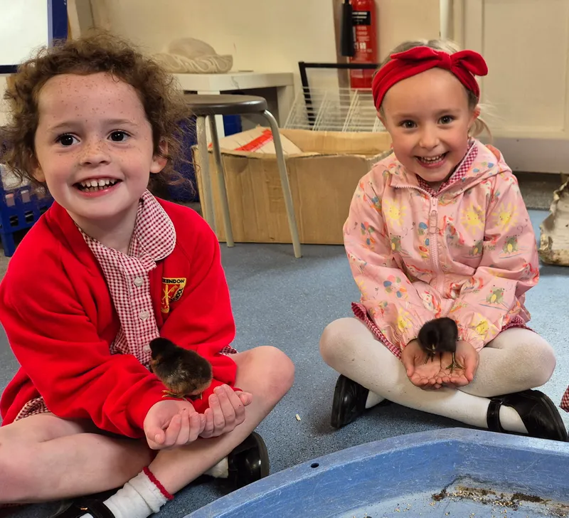 Gallery - created at 2025-05-17 14:55:55 - image 12