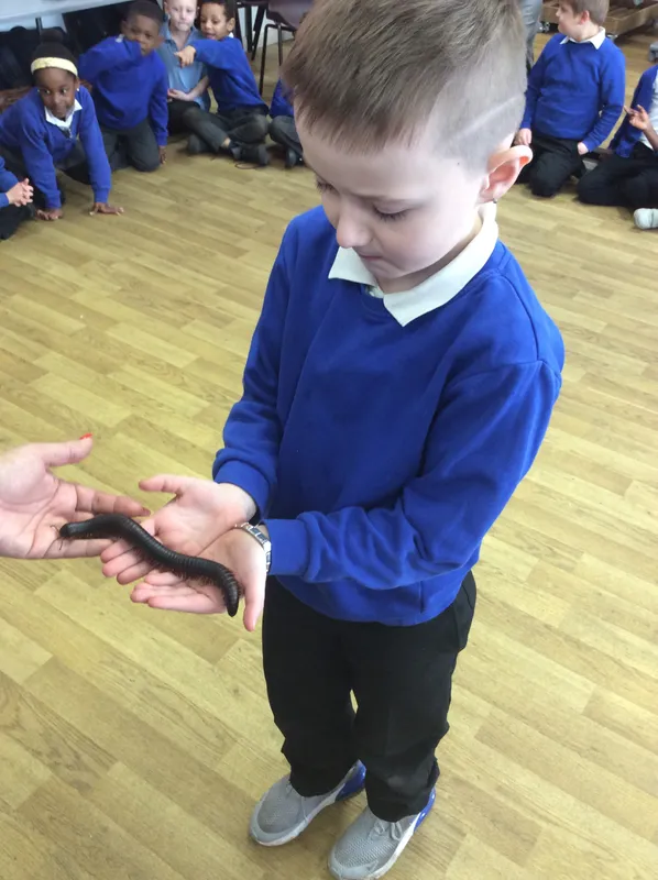 Gallery - created at 2024-03-05 13:52:56 - image 45 Gallery - created at 2024-03-05 13:52:56 - image 45