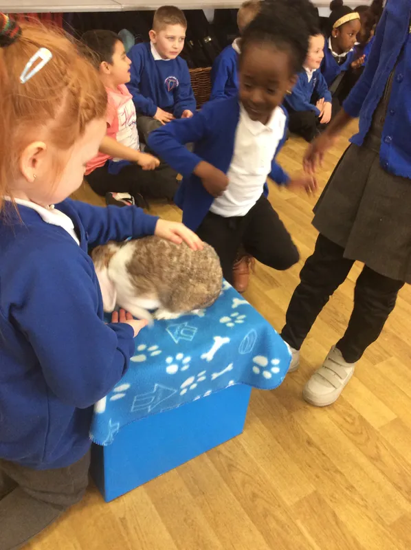 Gallery - created at 2024-03-05 13:52:56 - image 67 Gallery - created at 2024-03-05 13:52:56 - image 67