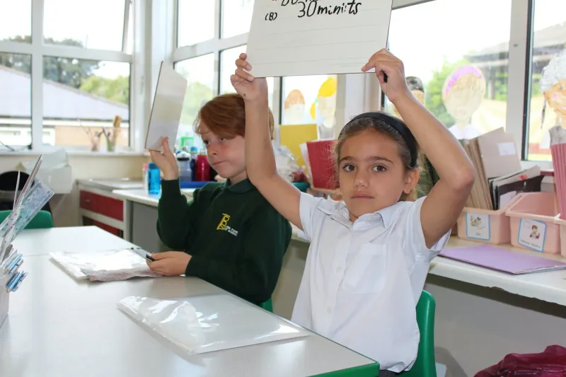 Year 2 - Photo Gallery - image 11