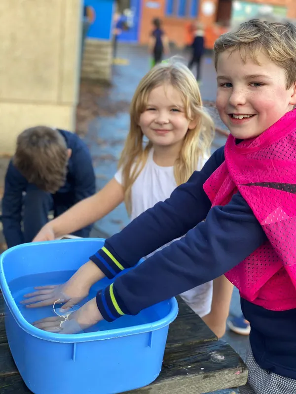 Gallery - created at 2020-11-29 11:13:33 - image 15