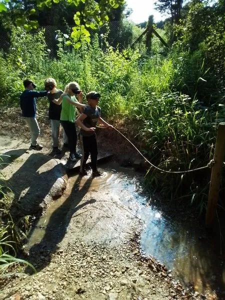 Group 2 and 4 - Sensory Trail - image 41