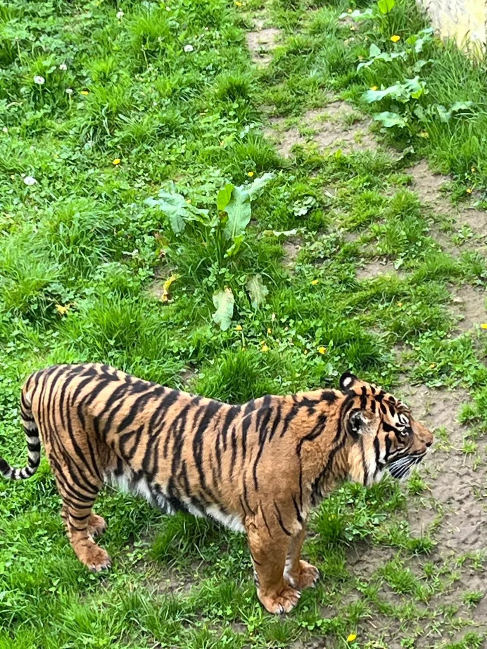 Gallery - created at 2024-06-06 15:03:55 - image 91