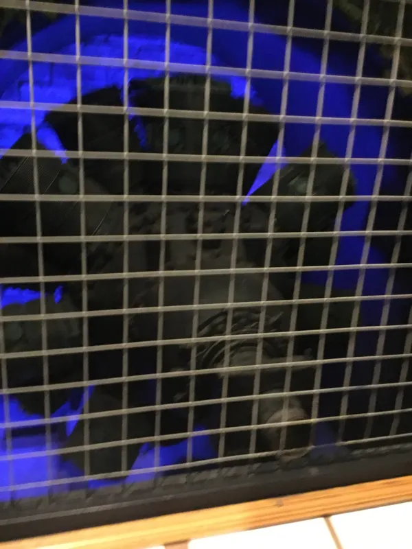 Eden camp 23rd Sept 2025 - image 3