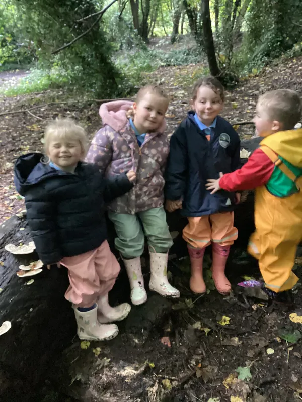Nursery Fun in the Woods - image 1 Nursery Fun in the Woods - image 1
