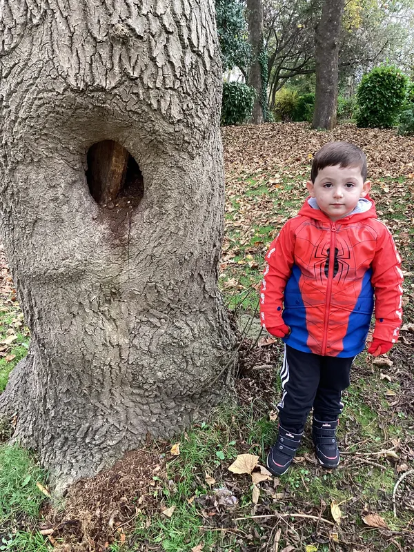 Gallery - created at 2024-11-05 15:27:50 - image 69 Gallery - created at 2024-11-05 15:27:50 - image 69