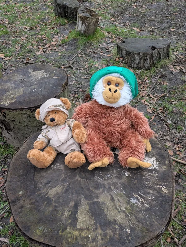 Gallery - created at 2025-02-23 10:17:08 - image 7