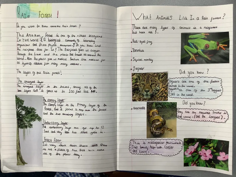 Gallery - created at 2021-04-26 21:31:33 - image 22 Gallery - created at 2021-04-26 21:31:33 - image 22