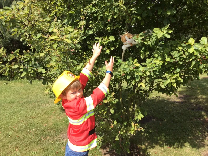 Gallery - created at 2021-06-29 11:56:47 - image 39