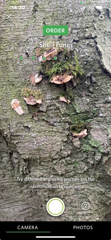 Gallery - created at 2025-11-22 17:18:06 - image 1 Gallery - created at 2025-11-22 17:18:06 - image 1