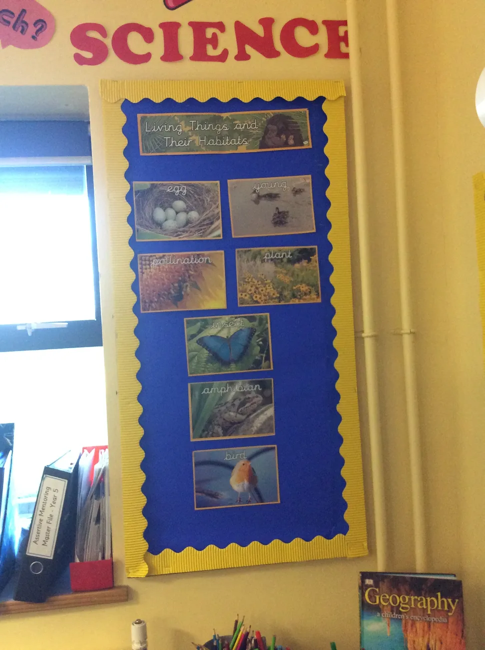 Gallery - created at 2020-04-23 11:54:25 - image 10