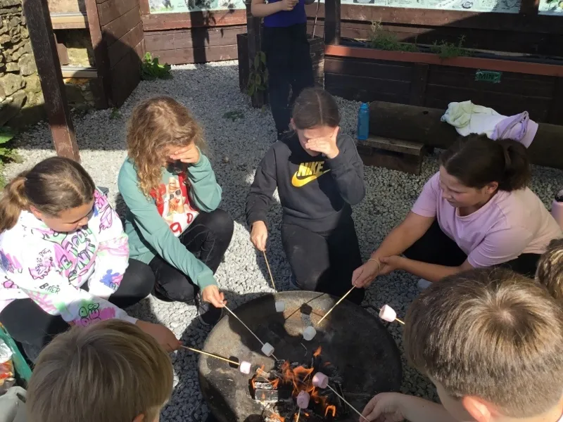 Gallery - created at 2024-09-16 20:10:15 - image 6 Gallery - created at 2024-09-16 20:10:15 - image 6