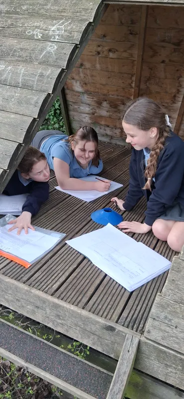 y6 active learning - image 10