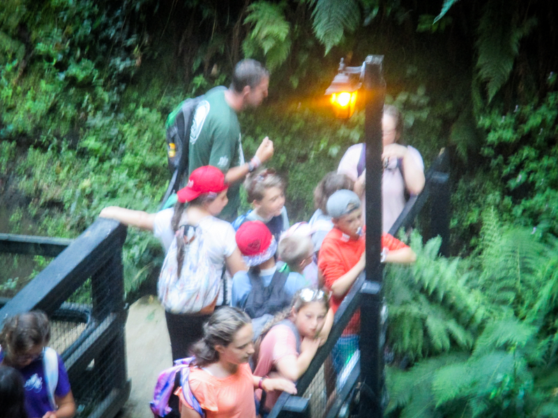 29IMG_2998.jpg