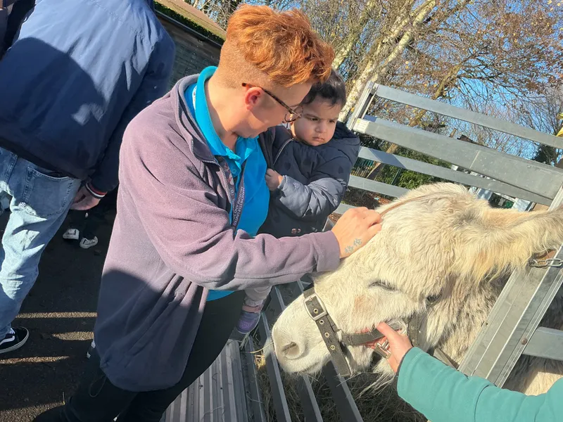 Stella ‘Farm on wheels’ part 2  - image 15