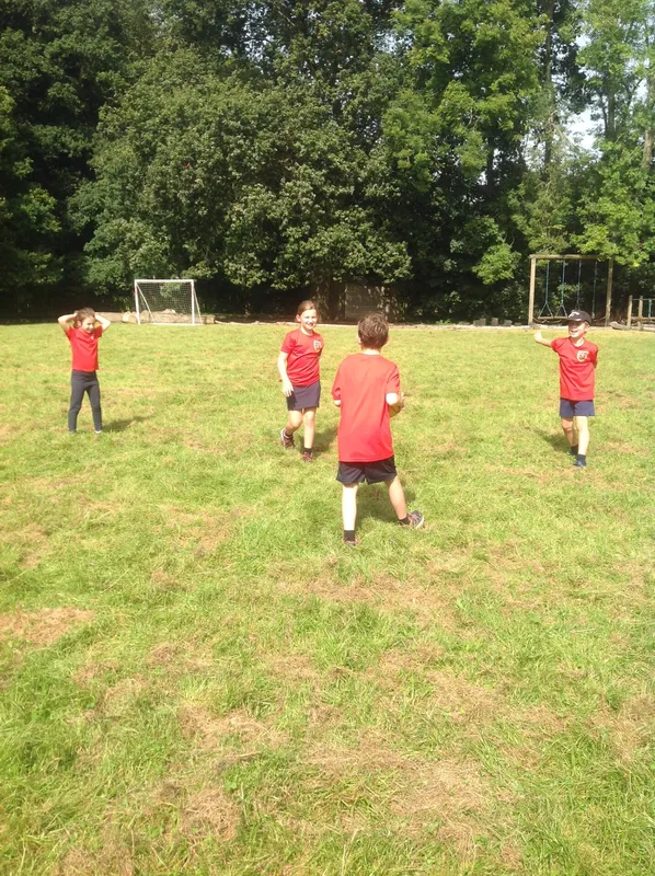 Gallery - created at 2023-09-08 15:01:19 - image 1 Gallery - created at 2023-09-08 15:01:19 - image 1