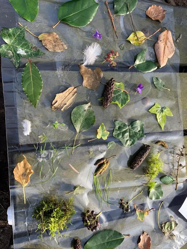 Gallery - created at 2023-02-24 15:31:22 - image 2 Gallery - created at 2023-02-24 15:31:22 - image 2