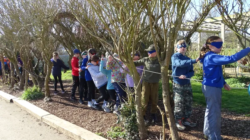 Years 5&6 Forest Schools - image 17