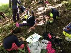 Forest School 123 - image 4 Forest School 123 - image 4