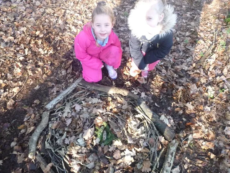 Gallery 7 - image 20