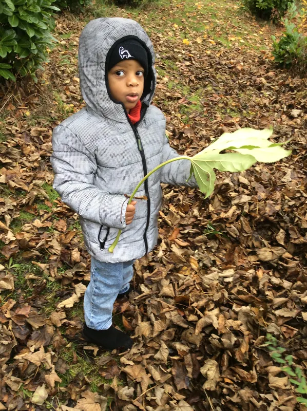 Gallery - created at 2024-11-05 15:27:50 - image 47 Gallery - created at 2024-11-05 15:27:50 - image 47