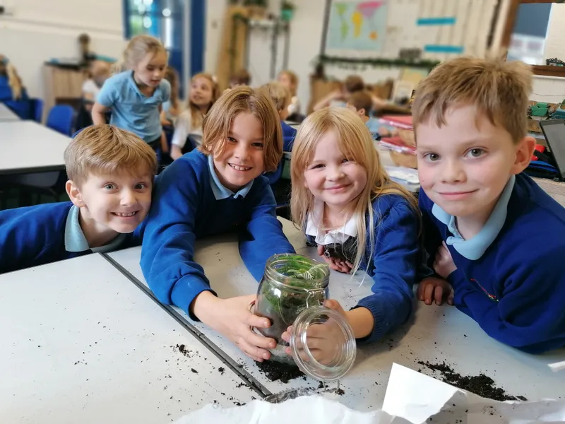 Gallery - created at 2020-10-19 15:54:26 - image 5