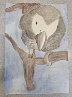 Animals - image 7