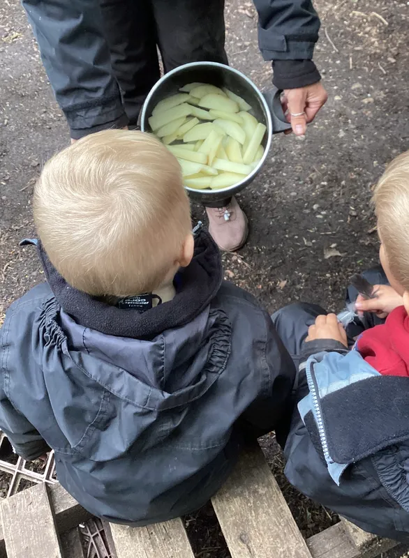 Planting potatoes 26 - image 2