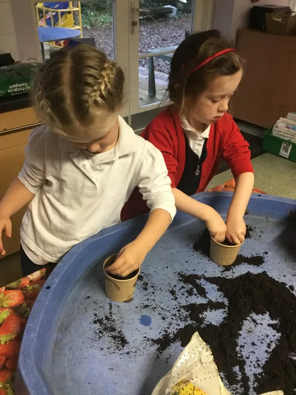 Gallery - created at 2023-12-08 14:43:00 - image 1