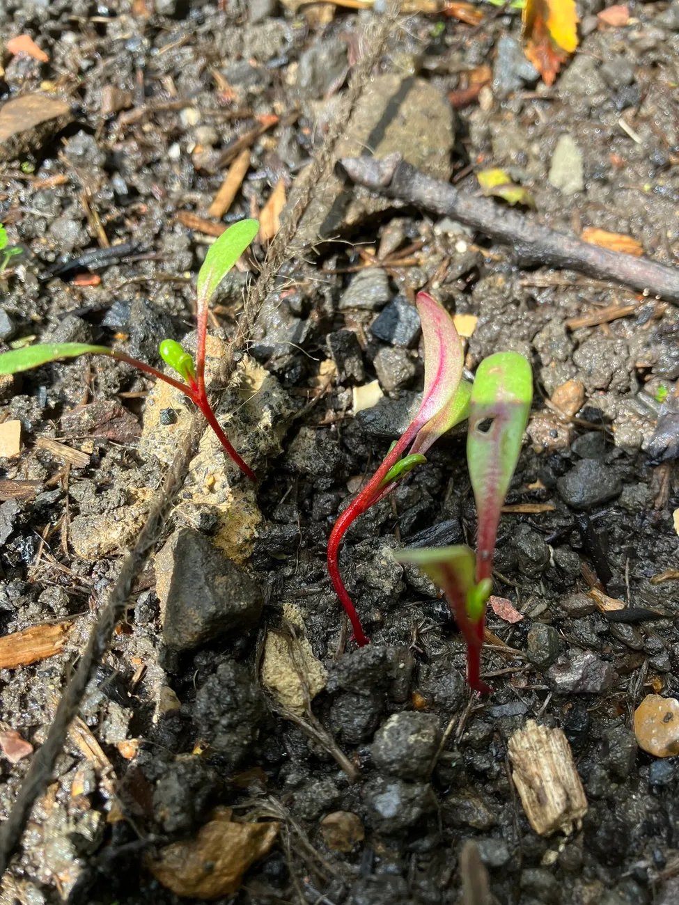 Gallery - created at 2023-09-07 16:46:06 - image 25 Gallery - created at 2023-09-07 16:46:06 - image 25