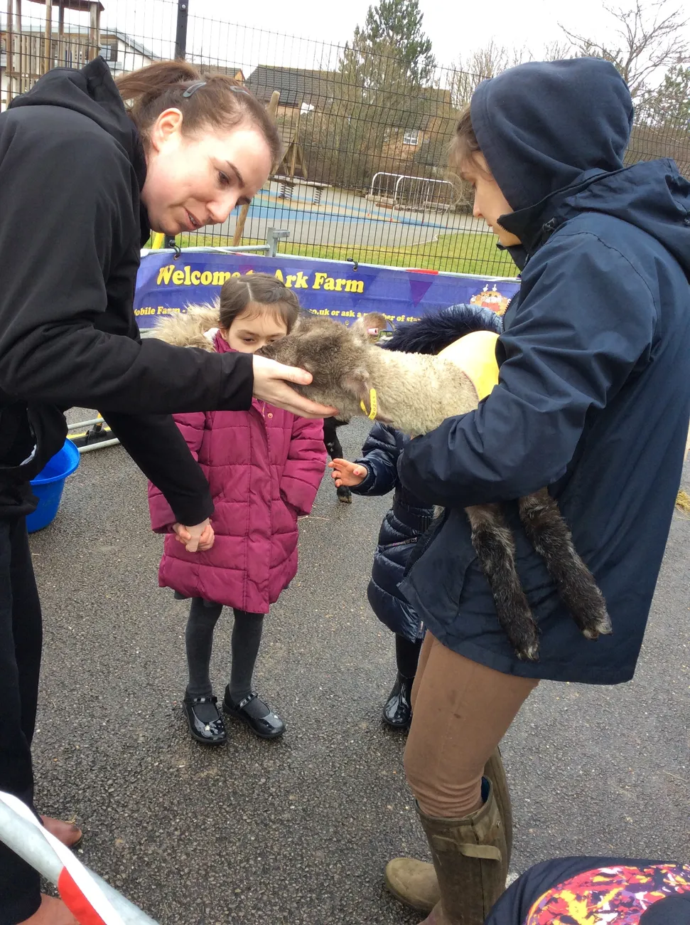 Gallery - created at 2022-03-04 13:11:52 - image 9