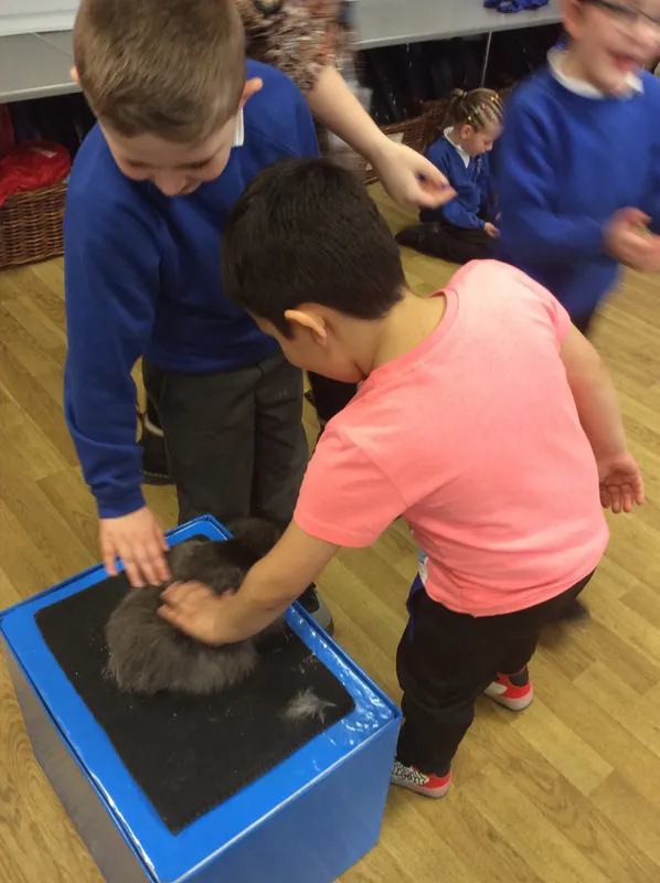 Gallery - created at 2024-03-05 13:52:56 - image 37 Gallery - created at 2024-03-05 13:52:56 - image 37