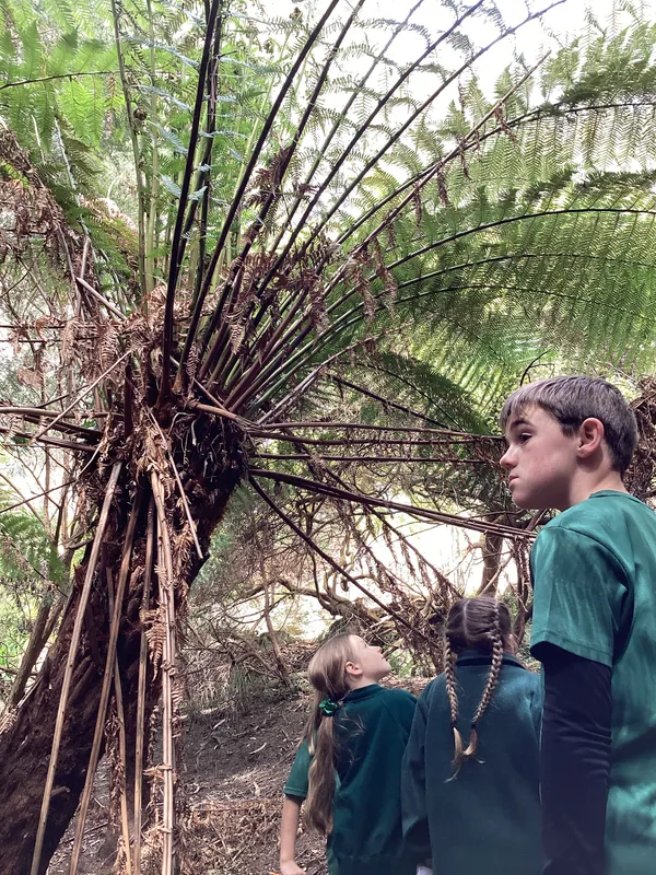 LKS2 Botanical Gardens Trip - image 17
