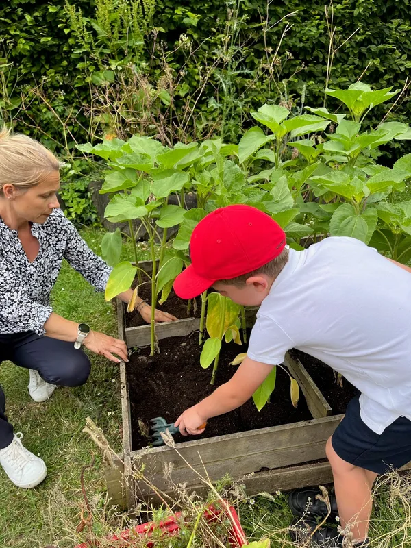 Gallery - created at 2023-06-30 12:23:52 - image 1