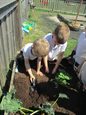Planting - image 40