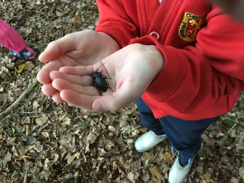 Gallery - created at 2022-10-03 16:37:54 - image 1