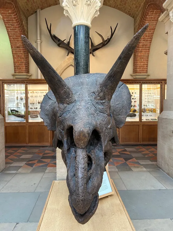 Gallery - created at 2025-05-15 20:19:39 - image 7