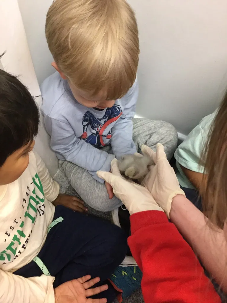 Life Cycles - image 5