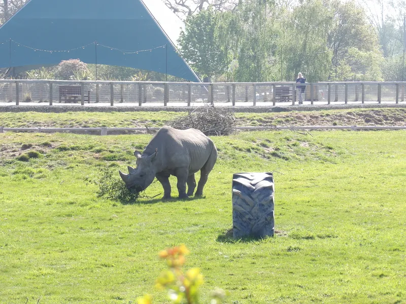 Y3 Yorkshire Wildlife Park Trip - image 34