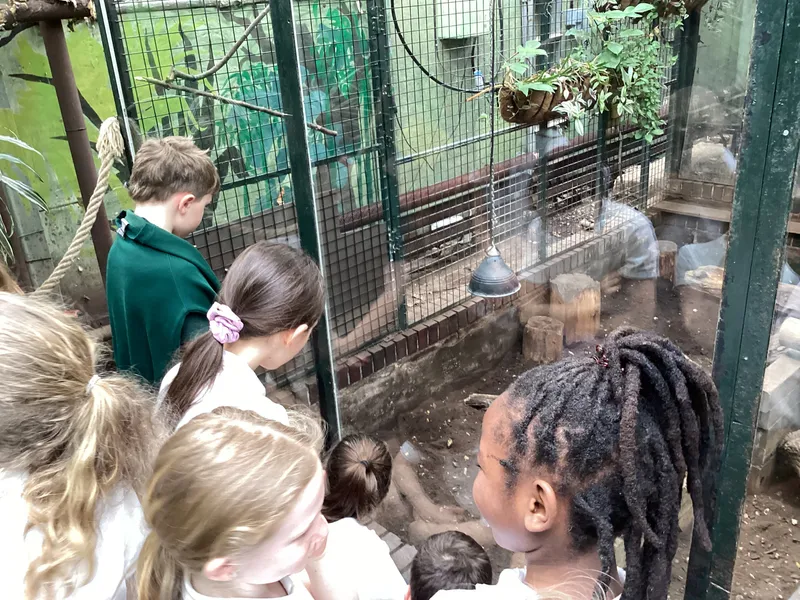 Gallery - created at 2025-03-14 10:11:21 - image 23 Gallery - created at 2025-03-14 10:11:21 - image 23