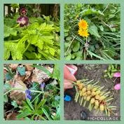 Forest School 41 - image 2 Forest School 41 - image 2