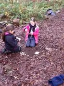 Forest School 160 - image 1 Forest School 160 - image 1