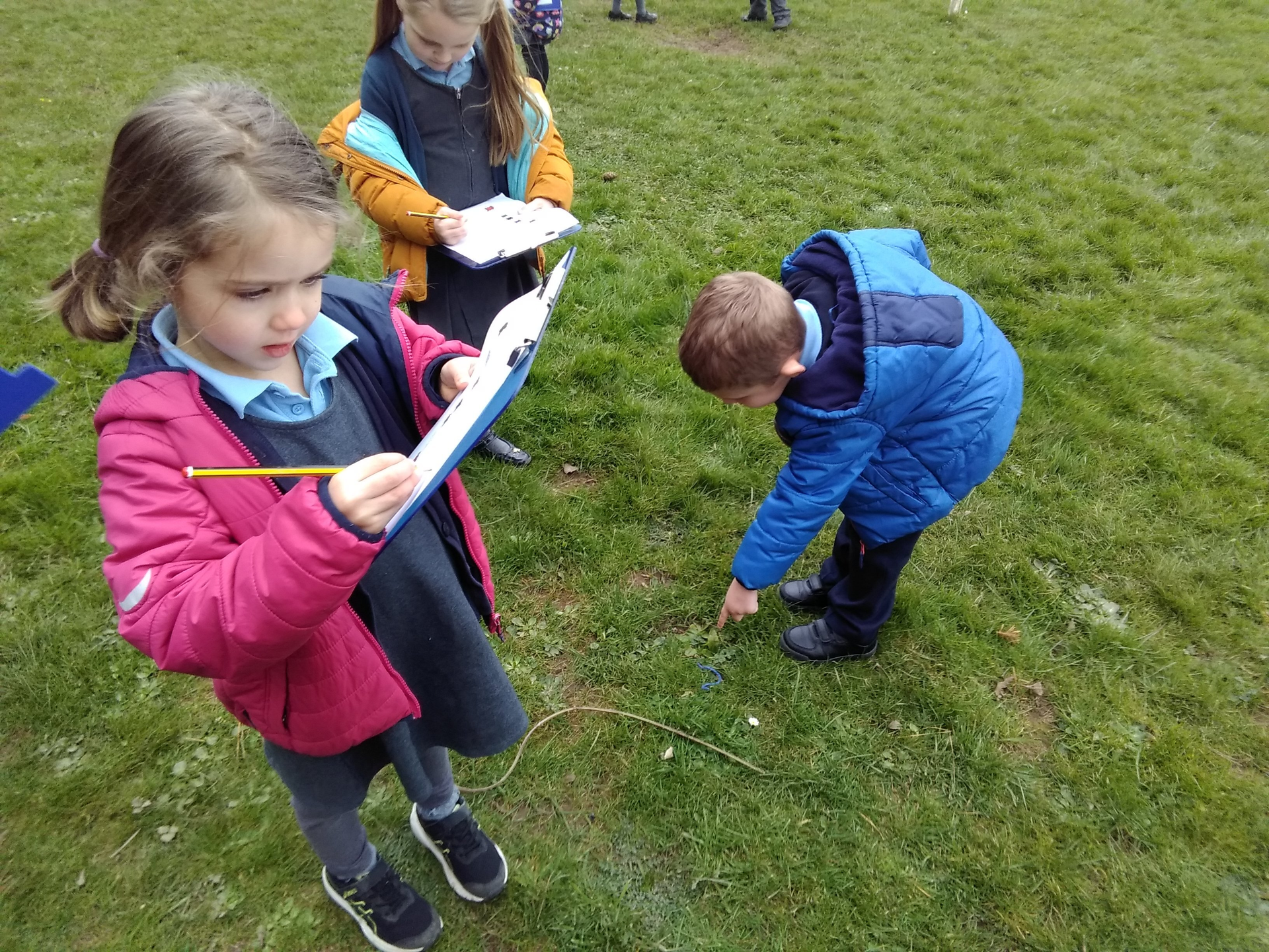 British Science Week