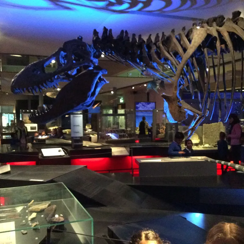 Gallery - created at 2024-02-15 10:35:32 - image 15 Gallery - created at 2024-02-15 10:35:32 - image 15