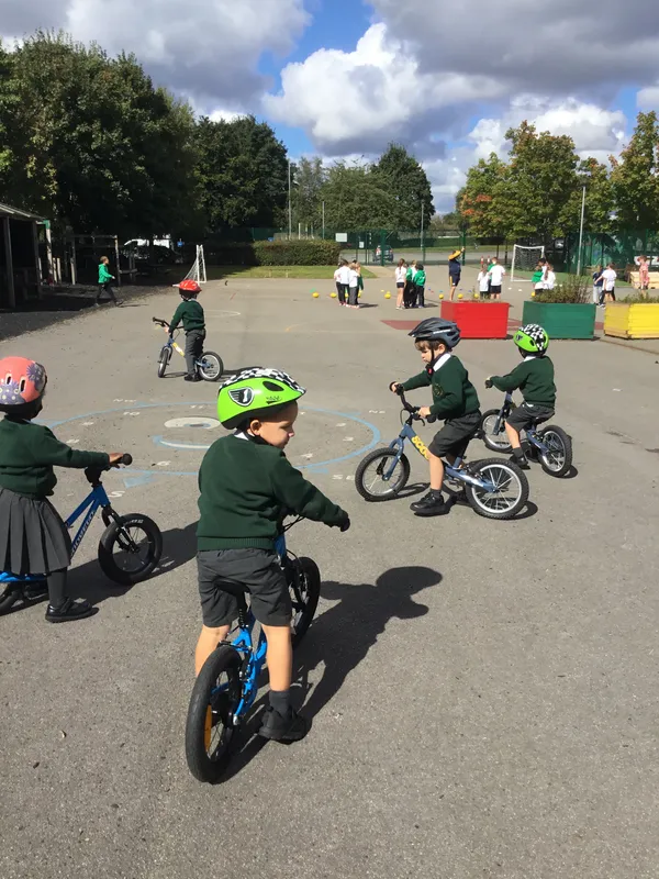 Gallery - created at 2024-09-18 15:44:06 - image 6 Gallery - created at 2024-09-18 15:44:06 - image 6