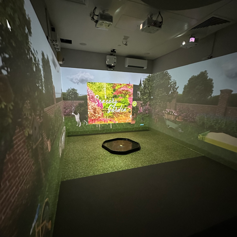 Immersive Room