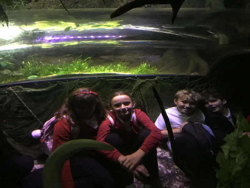 Year 5 Sealife Centre  - image 78