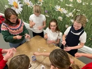 Gallery - created at 2022-12-14 15:50:36 - image 12