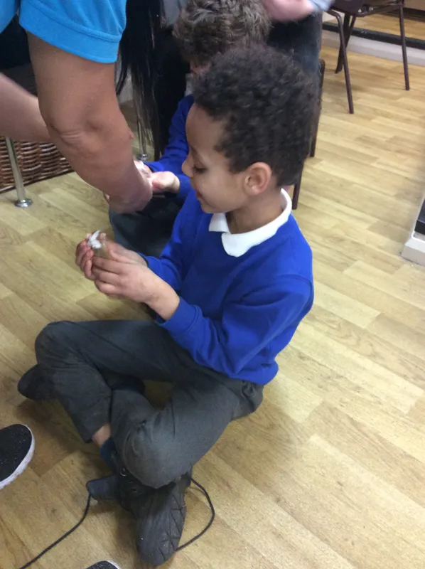 Gallery - created at 2024-03-05 13:52:56 - image 73 Gallery - created at 2024-03-05 13:52:56 - image 73