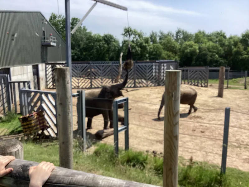 Blackpool zoo - image 11